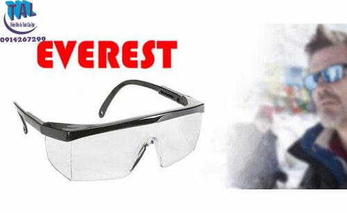 kính bảo hộ everest EV105